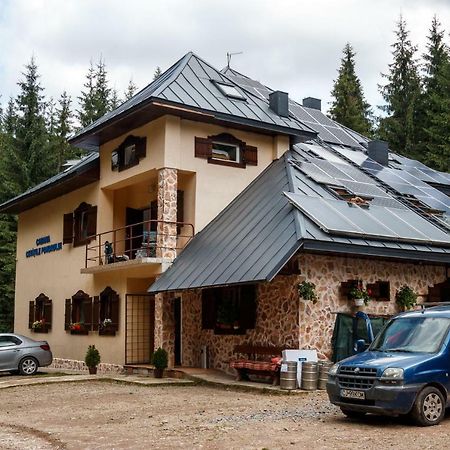 Pension Cabana Cetatile Ponorului Падис Екстериор снимка
