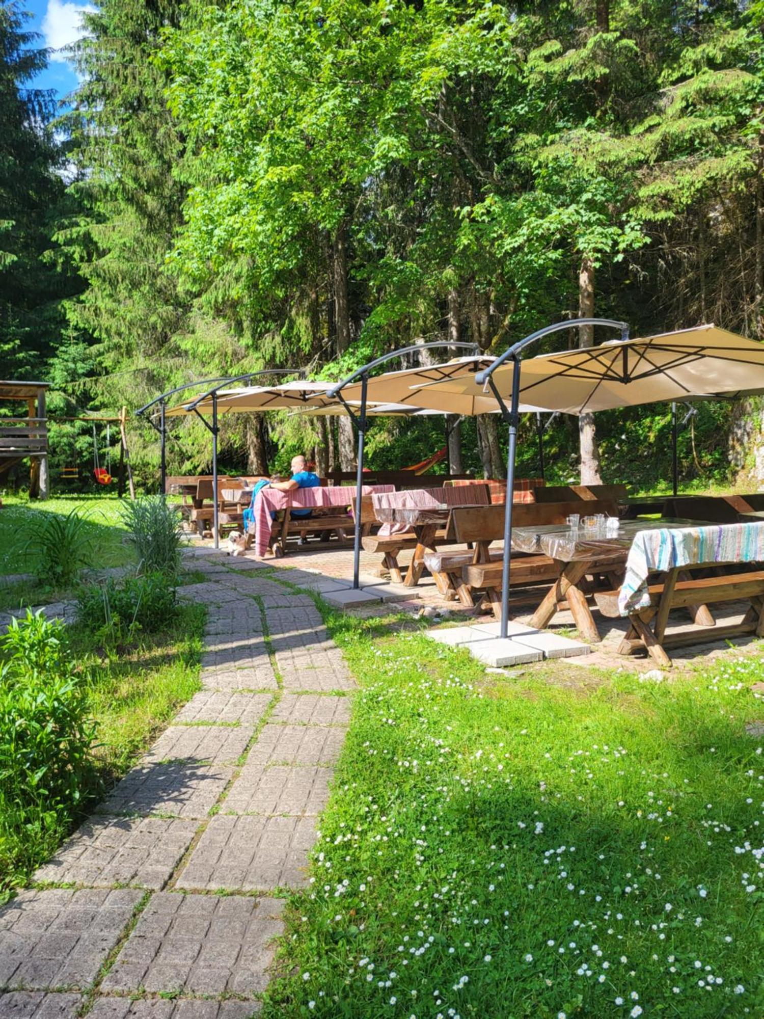 Pension Cabana Cetatile Ponorului Падис Екстериор снимка