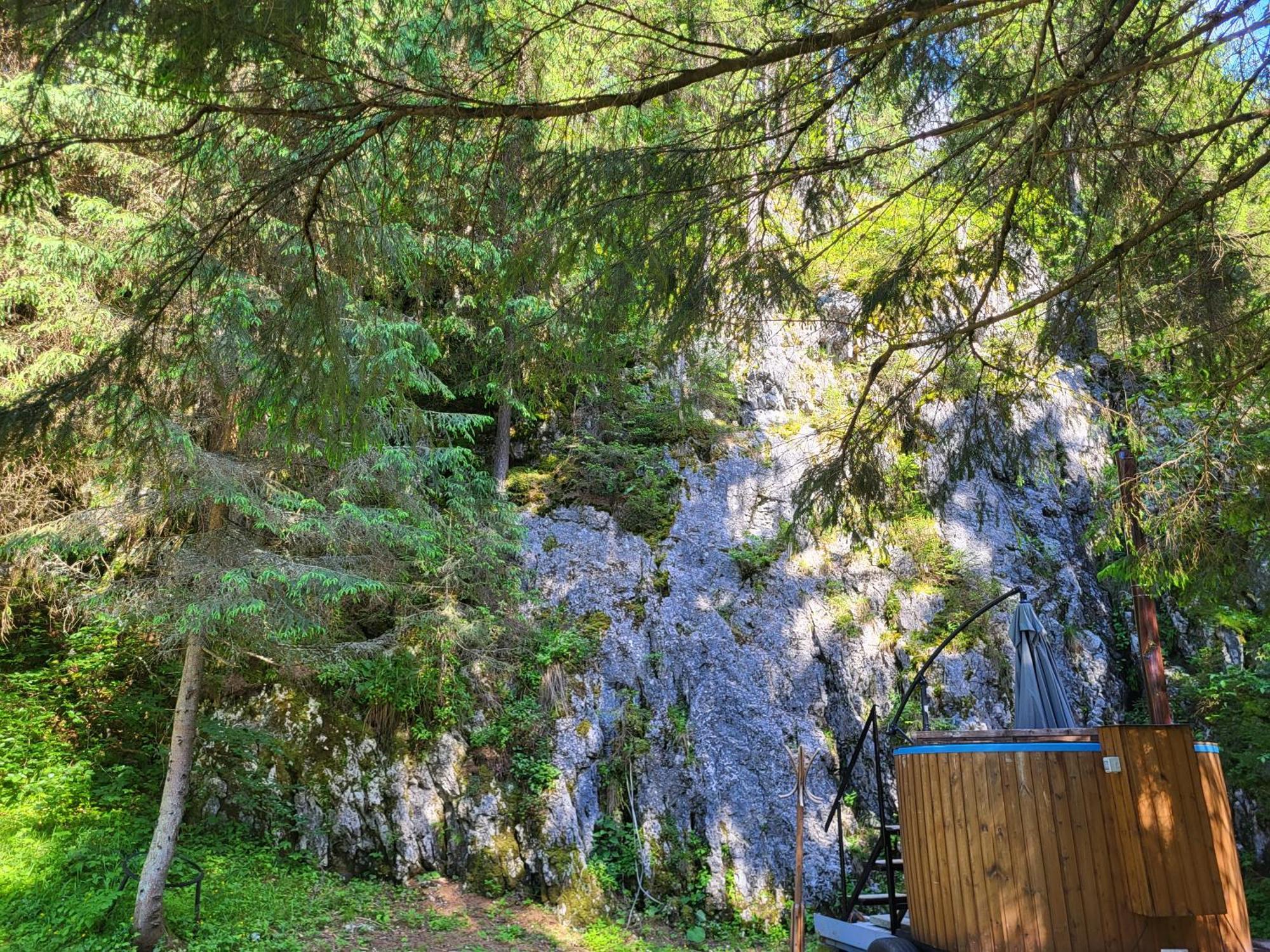 Pension Cabana Cetatile Ponorului Падис Екстериор снимка